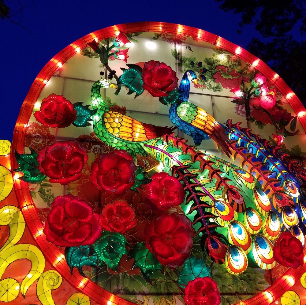 Meet your Posher, Joslyn